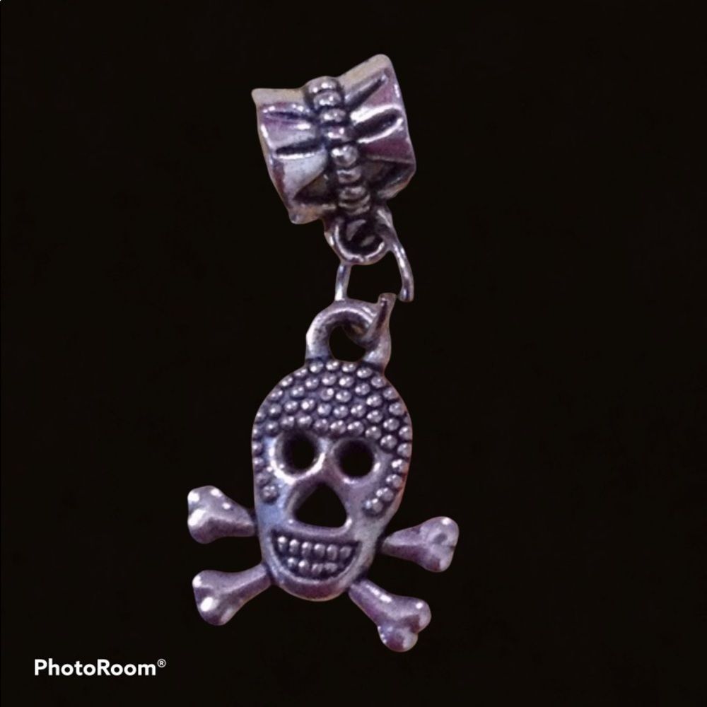 Skull charm fits pandora